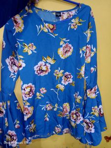 Blue Bell Sleeves Top