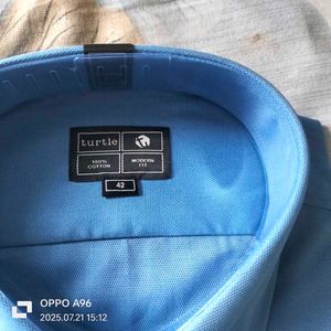 Turtle Blue Shirt
