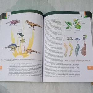 Class 12 Biology Book
