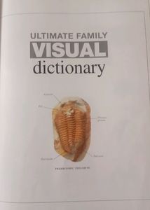 VISUAL DICTIONARY