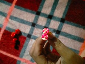 Combo Of Ear Studs