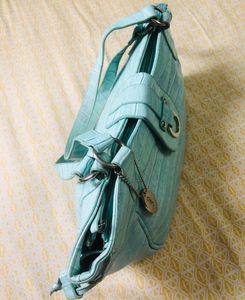 Chic Sea green Handbag