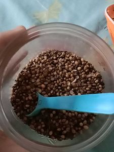 CORIANDER Seeds fried Healthy And Weight lossing