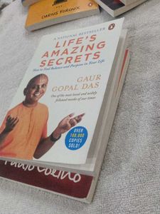 The Alchemist &amp; Life&#39;s Amazing Secrets