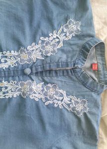 Denim Embroidered Button-Down Dress