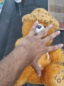 Vintage Teddy Bear with Hat