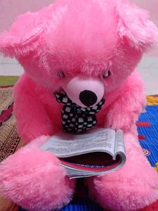 Pink Teddy Bear with Checkered Bow