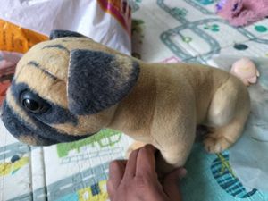 Set Of 10 Soft Toys