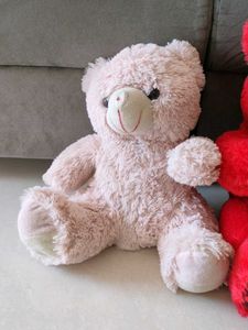 Teddy bear combo