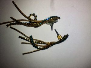 A Gorgeous Earrings