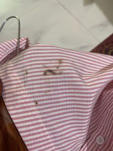 Stylish Shirt