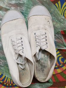 Venus White Canvas Shoes