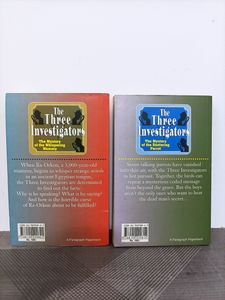3 Mystery Books Combo Set
