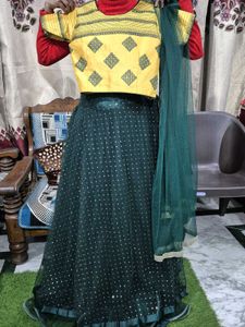 Elegant Lehenga Choli Set