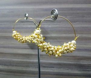 BEAUTIFUL Amazing Earinges