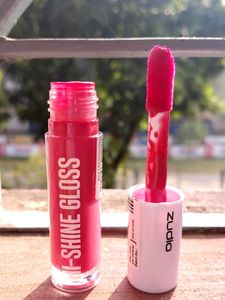 Zudio Hi-Shine Gloss