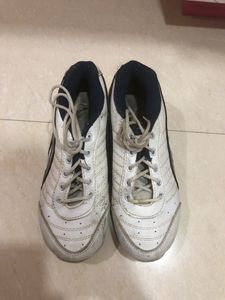 Action Spots Shoes