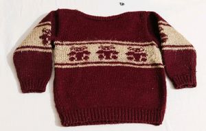 Combo Of 4 Sweaters