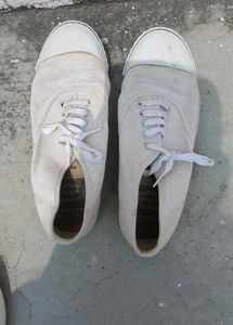 White Canvas School Sports Shoes