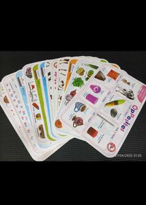 Kids Washable Learning Mats Set Of 12