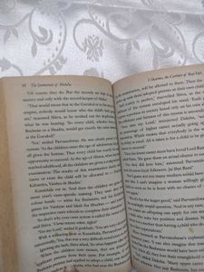 2 Novels Of Amish &amp; Sidney Sheldon