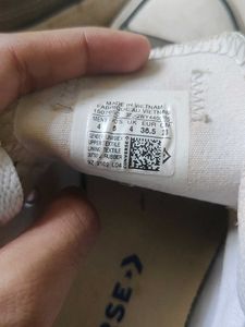 Converse All Star Sneakers