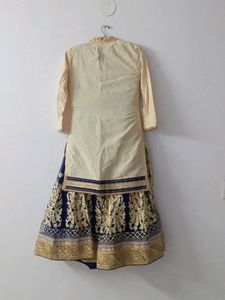 Unused Elegant Lehenga Choli Set