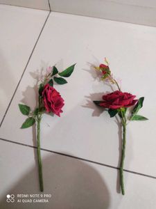 Red Rose