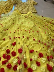 Haldi Photoshoot Double Flare Designer Skirt Only