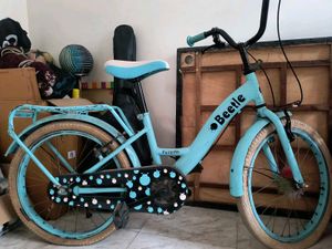 Beetle Kids Bicycle