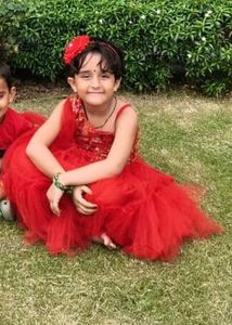 Red Net Lehnga Choli