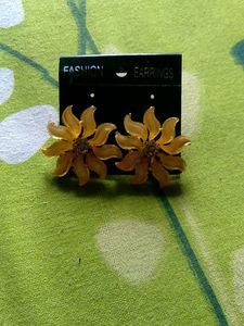 Fashion Earrings