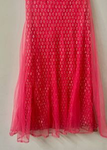 Peach Pink Ish  Net Lehenga