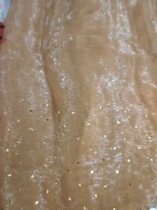 Elegant Embellished Saree