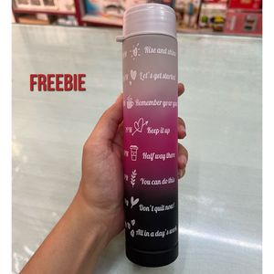 Decent Flask (insulated) + Free Motivation Bottle