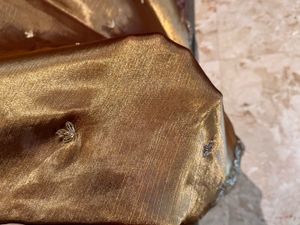 Sangeet Ready To Wear Lehenga Golden Shimmer