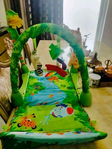Fisher-Price Activity Gym With Box