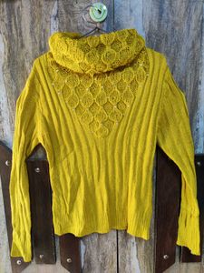 Two Woolen Top At 250