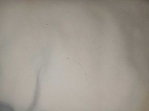 Mango Basics Beige Pants