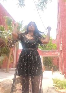 Black Embroidered Mesh see through Dress