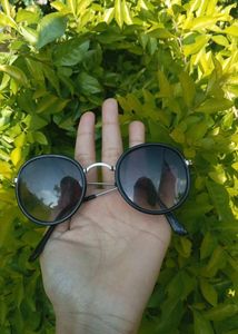 Sun Glasss
