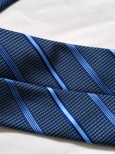 Kingfisher Men Blue Striped Tie