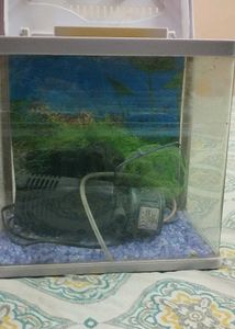 Used Aquarium with filter, stones,