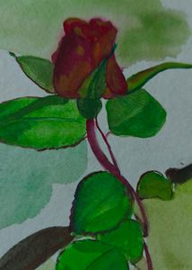 Rose Flower Watercolor Painting