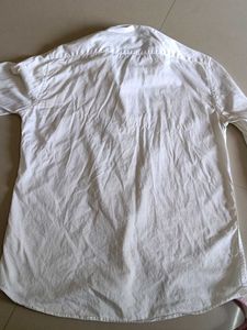 White Shirt Lion Embroidery