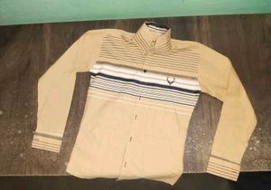 Striped Casual Shirt
