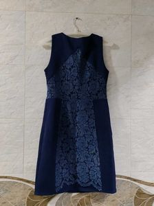 Navy Lace Panel Dress