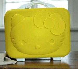 Hello Kitty Travel Case