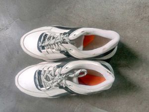 Girls Sneakers