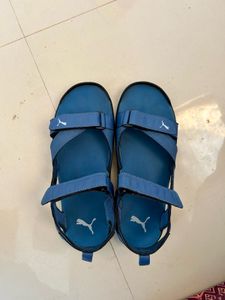 Puma Floater Chappal Sandal